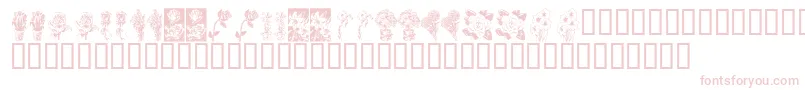 KrBeautifulFlowers Font – Pink Fonts on White Background