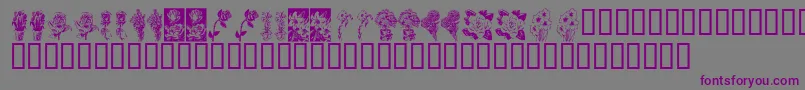 KrBeautifulFlowers Font – Purple Fonts on Gray Background