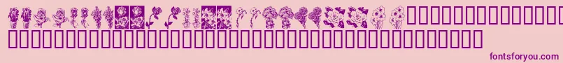 KrBeautifulFlowers Font – Purple Fonts on Pink Background