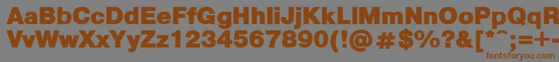 PragmaticaBlack Font – Brown Fonts on Gray Background