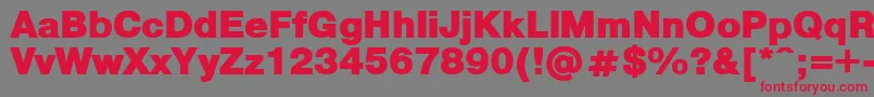 PragmaticaBlack Font – Red Fonts on Gray Background