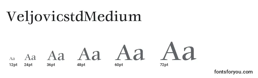 Размеры шрифта VeljovicstdMedium
