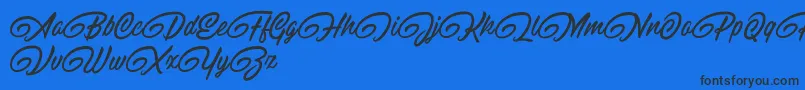 RaitonsDemo Font – Black Fonts on Blue Background