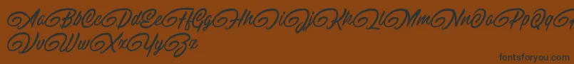 RaitonsDemo Font – Black Fonts on Brown Background