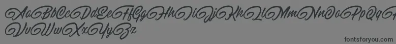 RaitonsDemo Font – Black Fonts on Gray Background