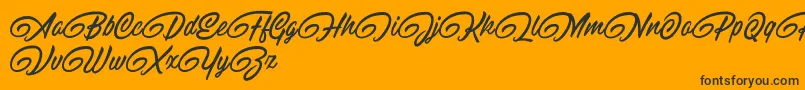 RaitonsDemo-Schriftart – Schwarze Schriften auf orangefarbenem Hintergrund
