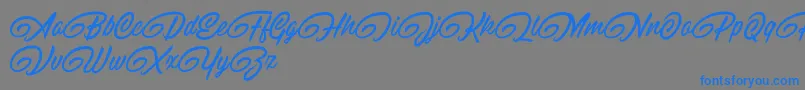 フォントRaitonsDemo – 灰色の背景に青い文字