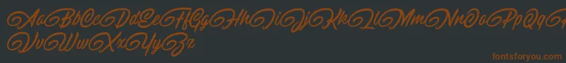RaitonsDemo-fontti – ruskeat fontit mustalla taustalla