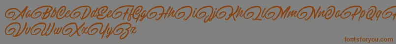 RaitonsDemo-Schriftart – Braune Schriften auf grauem Hintergrund