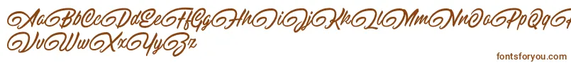 Шрифт RaitonsDemo – коричневые шрифты