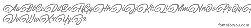 フォントRaitonsDemo – 白い背景に灰色の文字