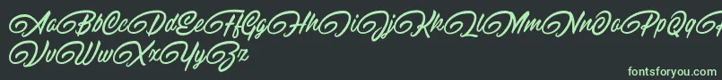 RaitonsDemo-fontti – vihreät fontit mustalla taustalla