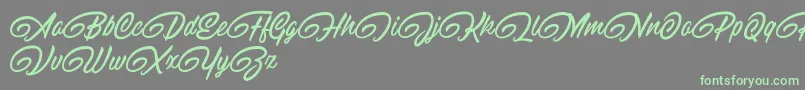RaitonsDemo Font – Green Fonts on Gray Background