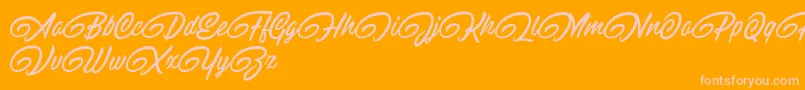 RaitonsDemo-Schriftart – Rosa Schriften auf orangefarbenem Hintergrund