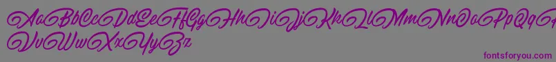 RaitonsDemo-fontti – violetit fontit harmaalla taustalla