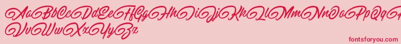 フォントRaitonsDemo – ピンクの背景に赤い文字