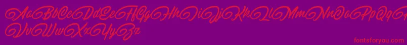 RaitonsDemo Font – Red Fonts on Purple Background