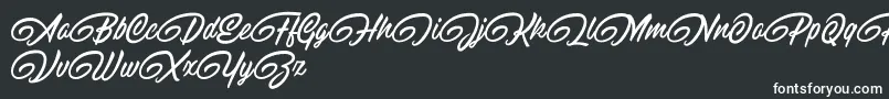 RaitonsDemo-fontti – valkoiset fontit mustalla taustalla