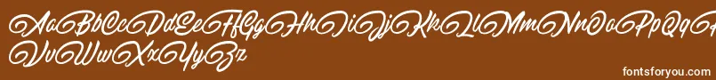 Шрифт RaitonsDemo – белые шрифты на коричневом фоне