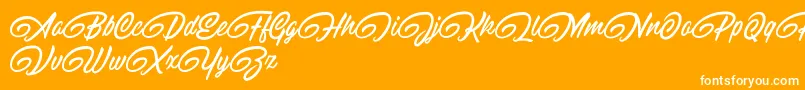 RaitonsDemo Font – White Fonts on Orange Background