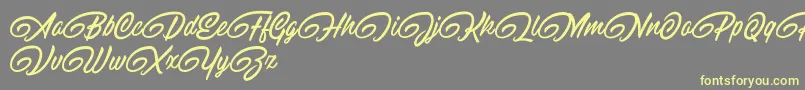 RaitonsDemo-Schriftart – Gelbe Schriften auf grauem Hintergrund