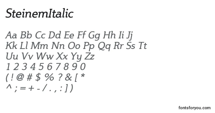 Шрифт SteinemItalic – алфавит, цифры, специальные символы