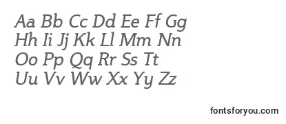 SteinemItalic Font