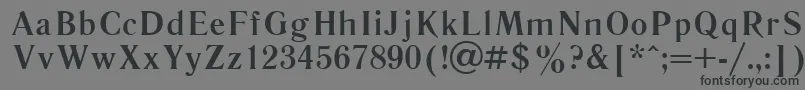 フォントLiterbol – 黒い文字の灰色の背景