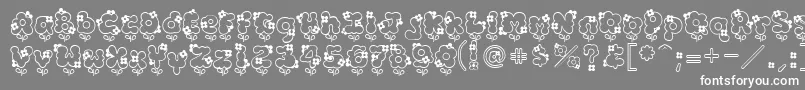 Hannah Font – White Fonts on Gray Background
