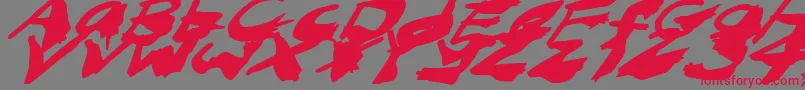 フォントNightmareInkItalic – 赤い文字の灰色の背景