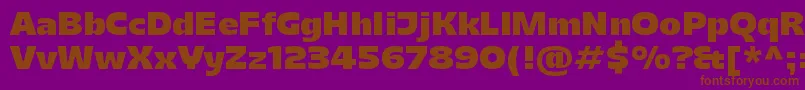 Police Majoris – polices brunes sur fond violet
