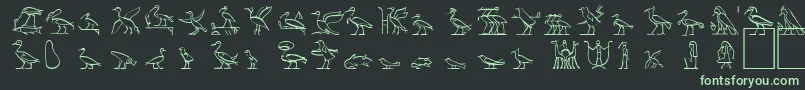 HyroglyphesTwo-fontti – vihreät fontit mustalla taustalla