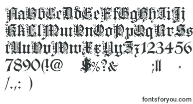 FortunaGothicFlorishc font – designer Fonts