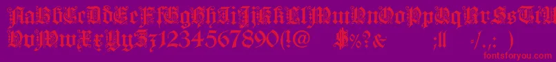 Czcionka FortunaGothicFlorishc – czerwone czcionki na fioletowym tle