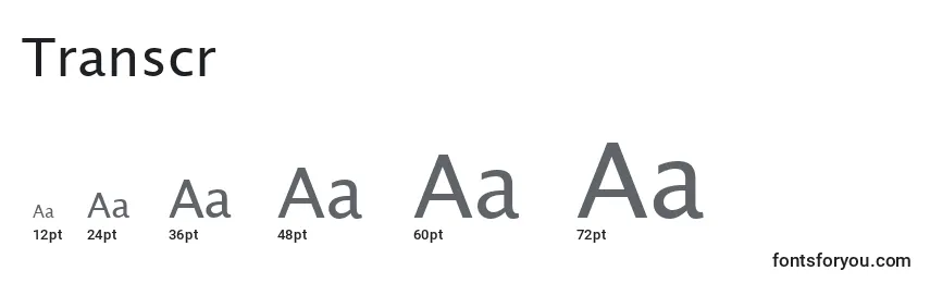 Transcr Font Sizes