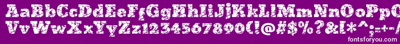 Icrack Font – White Fonts on Purple Background