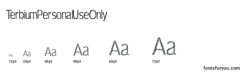 TerbiumPersonalUseOnly Font Sizes