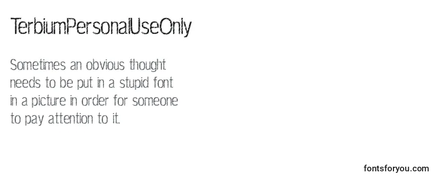 TerbiumPersonalUseOnly Font
