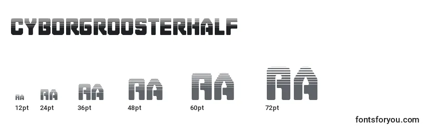 Cyborgroosterhalf Font Sizes