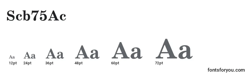Scb75Ac Font Sizes