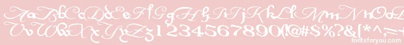 InterplaytextBold Font – White Fonts on Pink Background