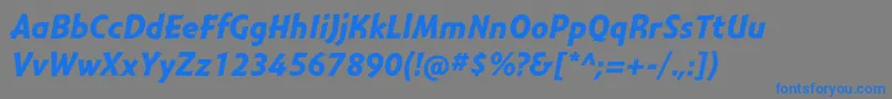 MontaraBolditalic Font – Blue Fonts on Gray Background