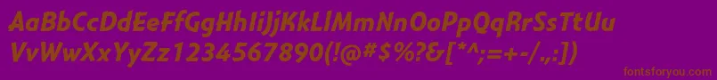 MontaraBolditalic-fontti – ruskeat fontit violetilla taustalla