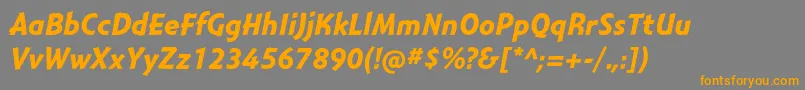 MontaraBolditalic Font – Orange Fonts on Gray Background