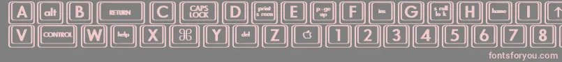 KeyboardKeysbtBold-Schriftart – Rosa Schriften auf grauem Hintergrund