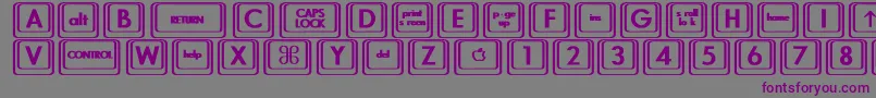 KeyboardKeysbtBold Font – Purple Fonts on Gray Background