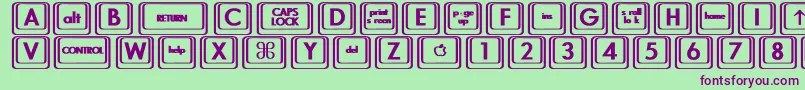 KeyboardKeysbtBold-Schriftart – Violette Schriften auf grünem Hintergrund