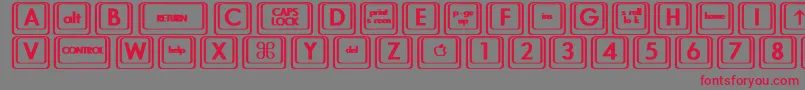 フォントKeyboardKeysbtBold – 赤い文字の灰色の背景
