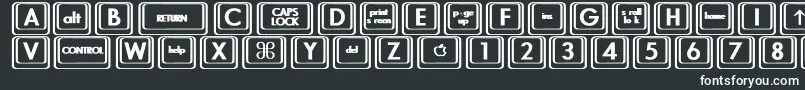 Więcej informacji o czcionce KeyboardKeysbtBold Czcionka KeyboardKeysbtBold – białe czcionki