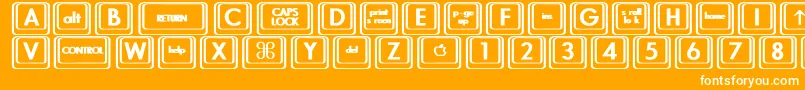 KeyboardKeysbtBold Font – White Fonts on Orange Background